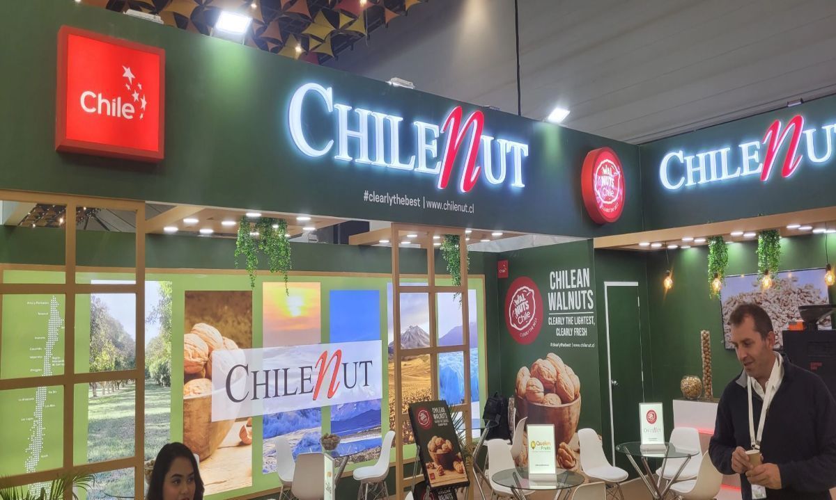 Potenciando negocios de nueces chilenas en India