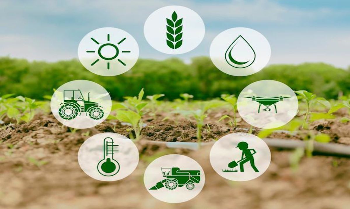 Oferta laboral: Analista de sustentabilidad agrícola y cambio climático