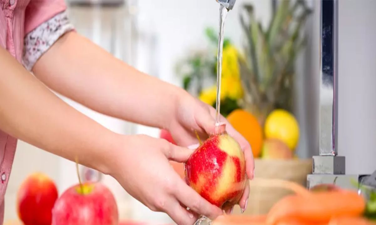 UAndes entrega tips para el lavado de frutas y verduras