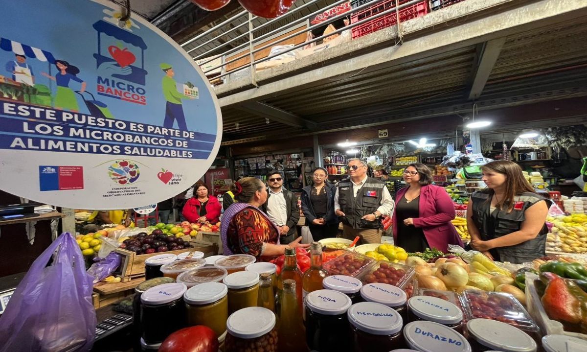 5 Microbancos de alimentos saludables disponibles en la región de Los Lagos