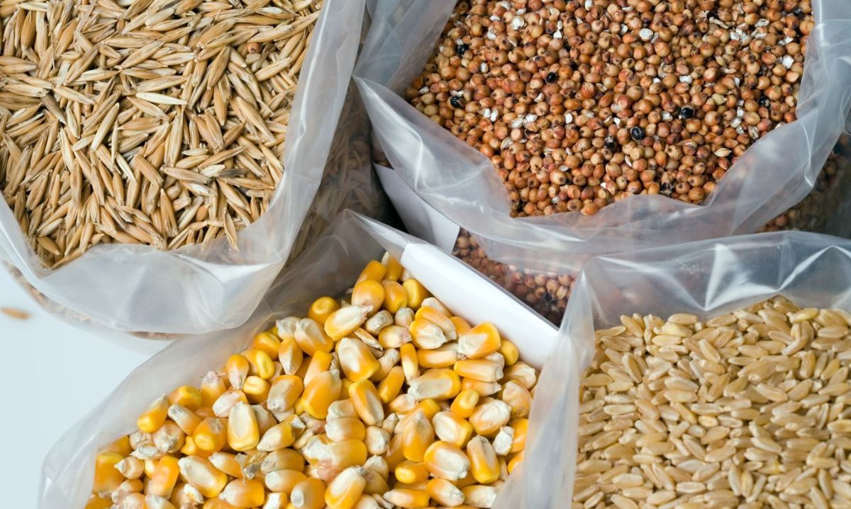 USDA revisa a la baja sus previsiones de producción mundial de cereales