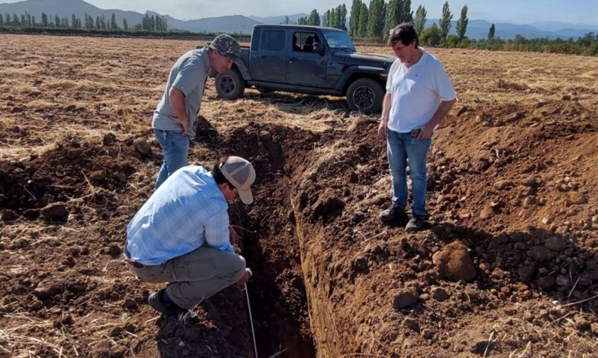 Revisión de calicatas para nuevo proyecto de kiwis y cerezas