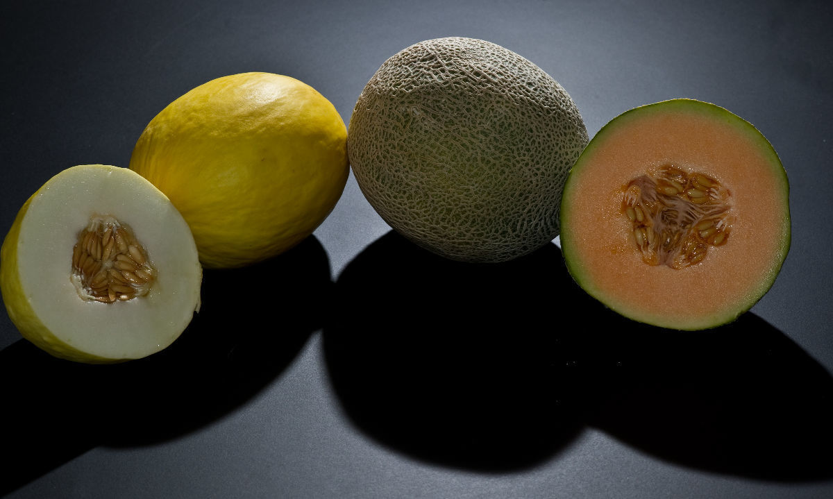 Los beneficios que tiene para ti el melón