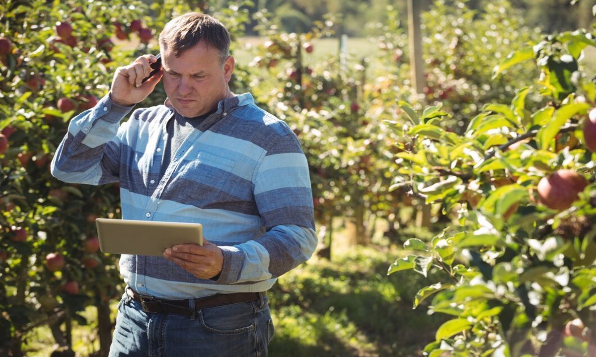 Oportunidades laborales para profesionales del agro