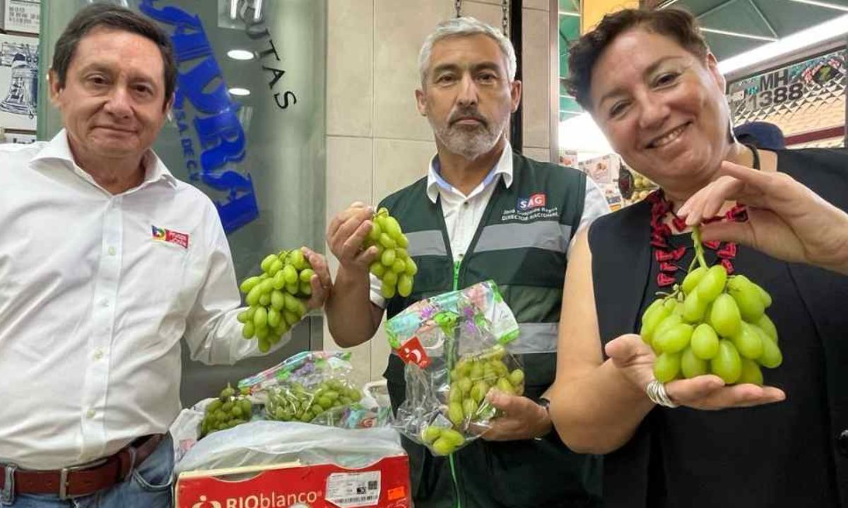 Chile trabaja en México por nuevas aperturas a sus productos frutícolas 
