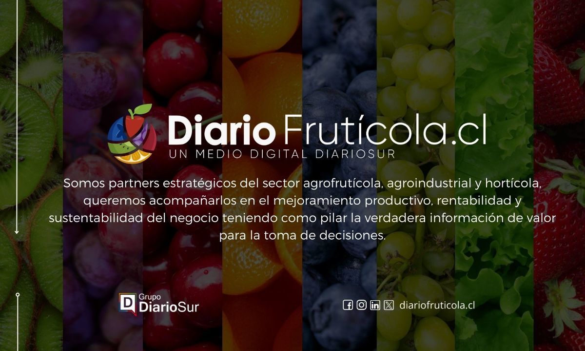 Nace DiarioFrutícola.cl parte del Grupo DiarioSur, su séptimo medio especializado