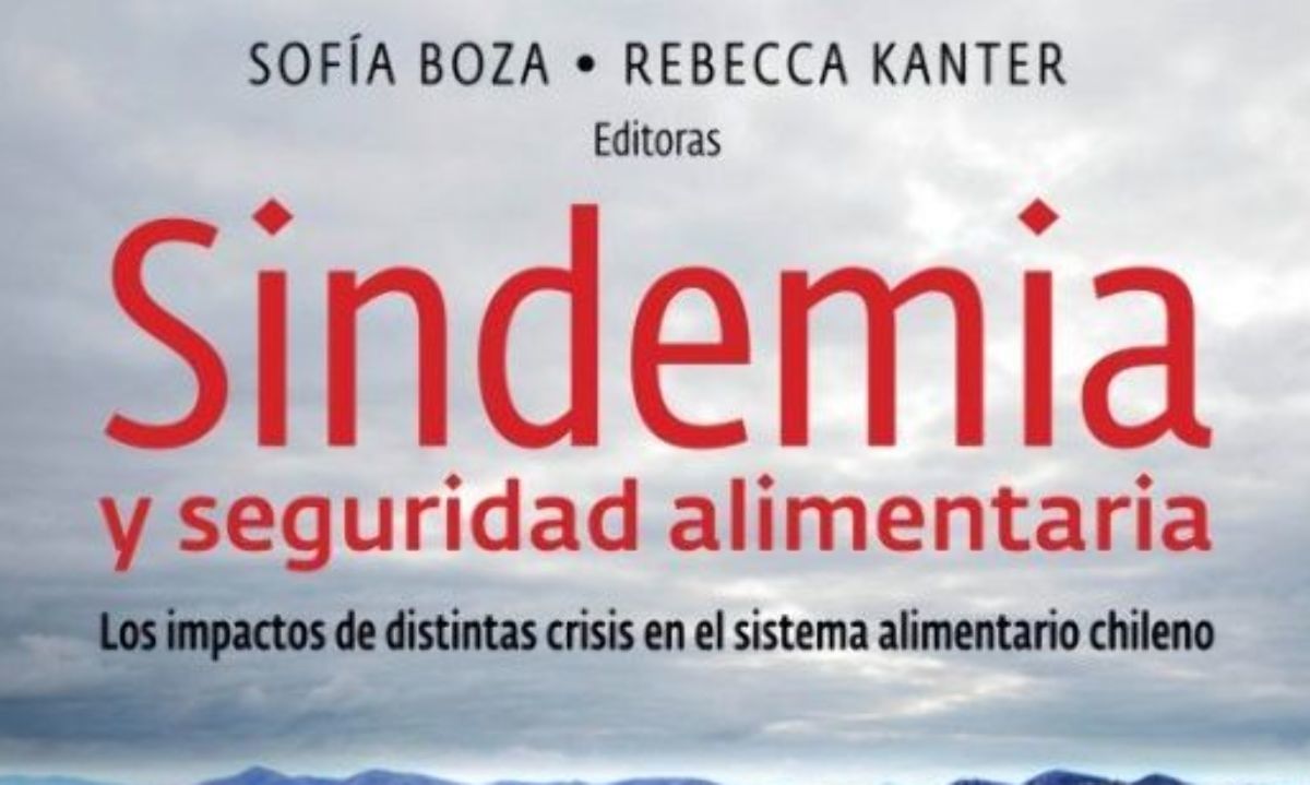 Sindemia y seguridad alimentaria