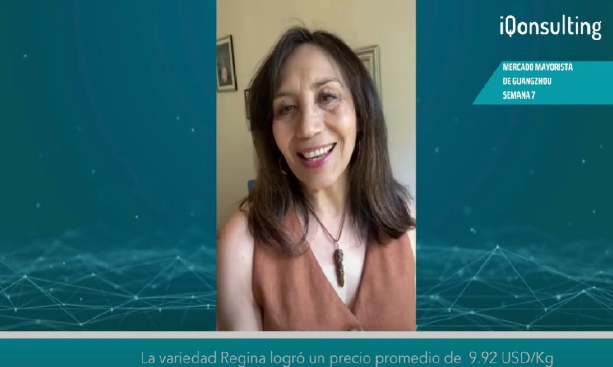 Video-columna: Directora de IQonsulting: "Esta temporada de cerezas ha sido espectacular"