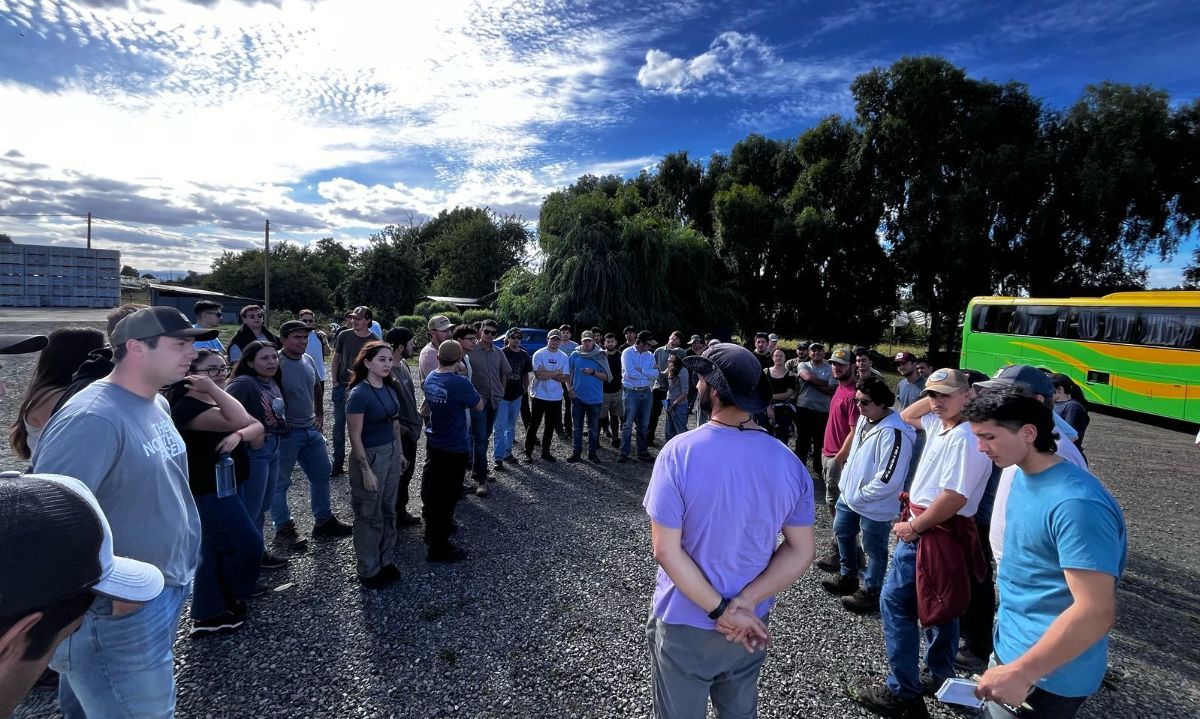 Futuros agrónomos de la Universidad Mayor de Santiago recorren campos de cerezas