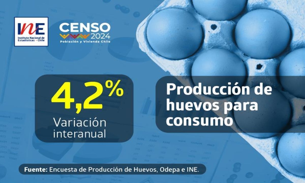 Producción de huevos para consumo experimentó expansión interanual del 4,2%