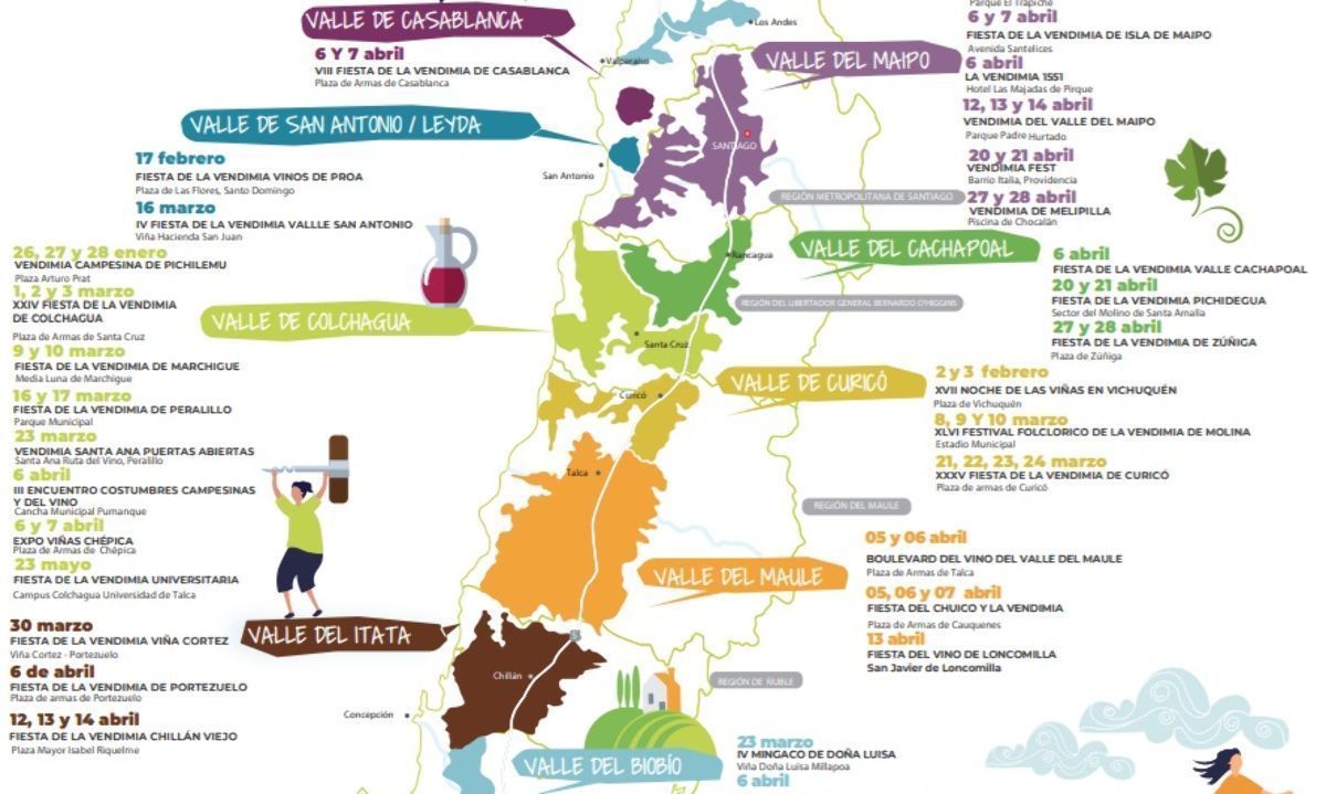 Panorama del vino: Calendario de vendimias valle por valle