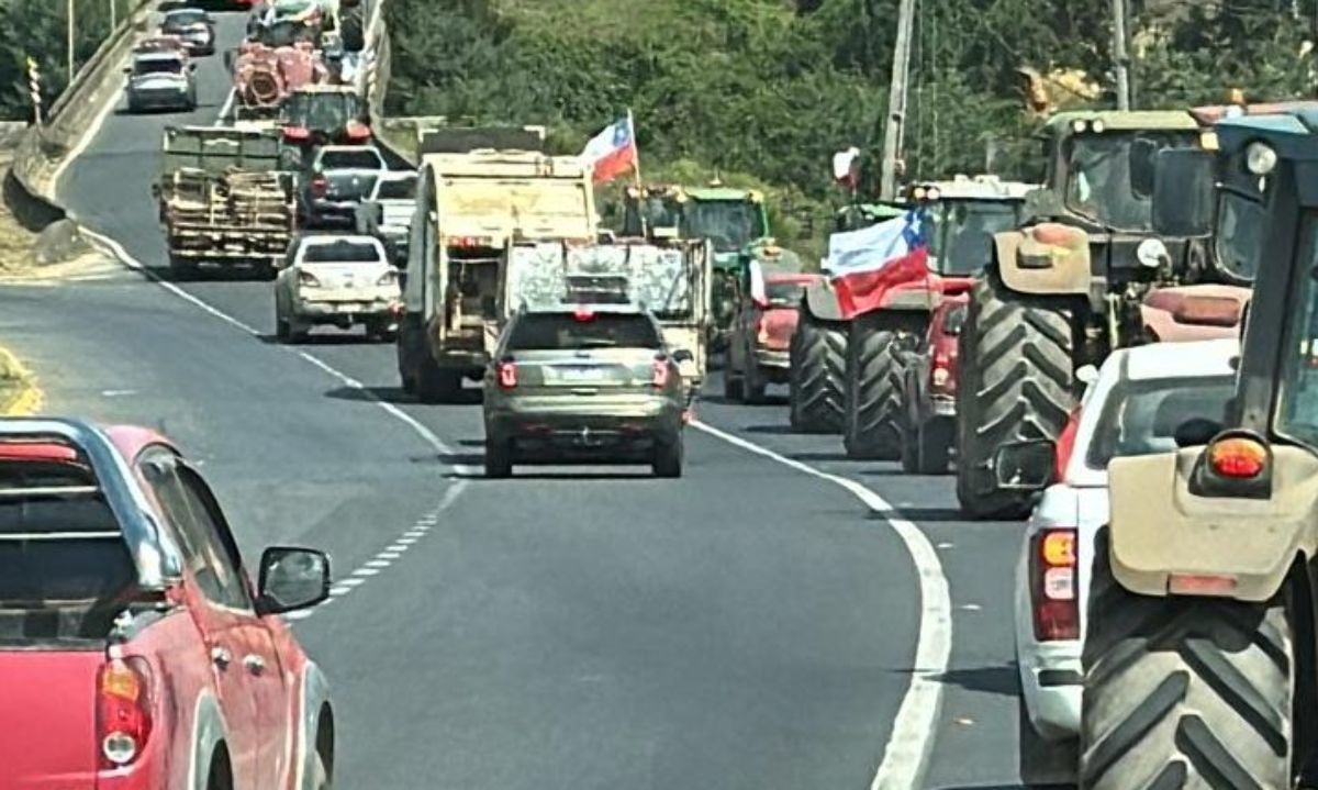 La Araucanía: Manifestación de agricultores por precios del trigo
