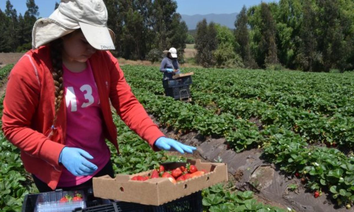 ASICA Jalisco y ACHIPIA de Chile trabajarán en proyecto en favor de las mujeres rurales