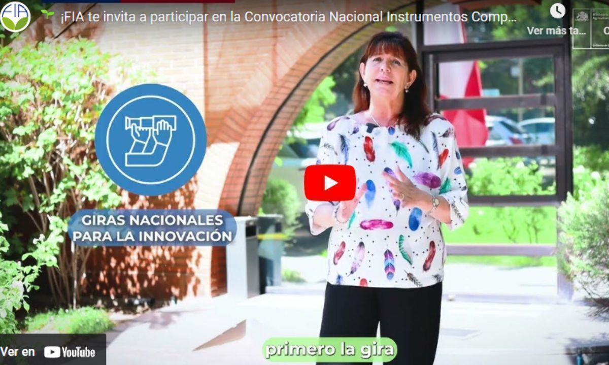 Innovación: Convocatoria Nacional Instrumentos Complementarios 