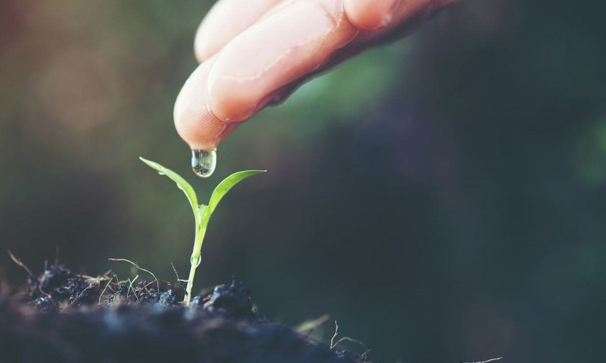 La agroecología: Un camino hacia la conservación de la biodiversidad