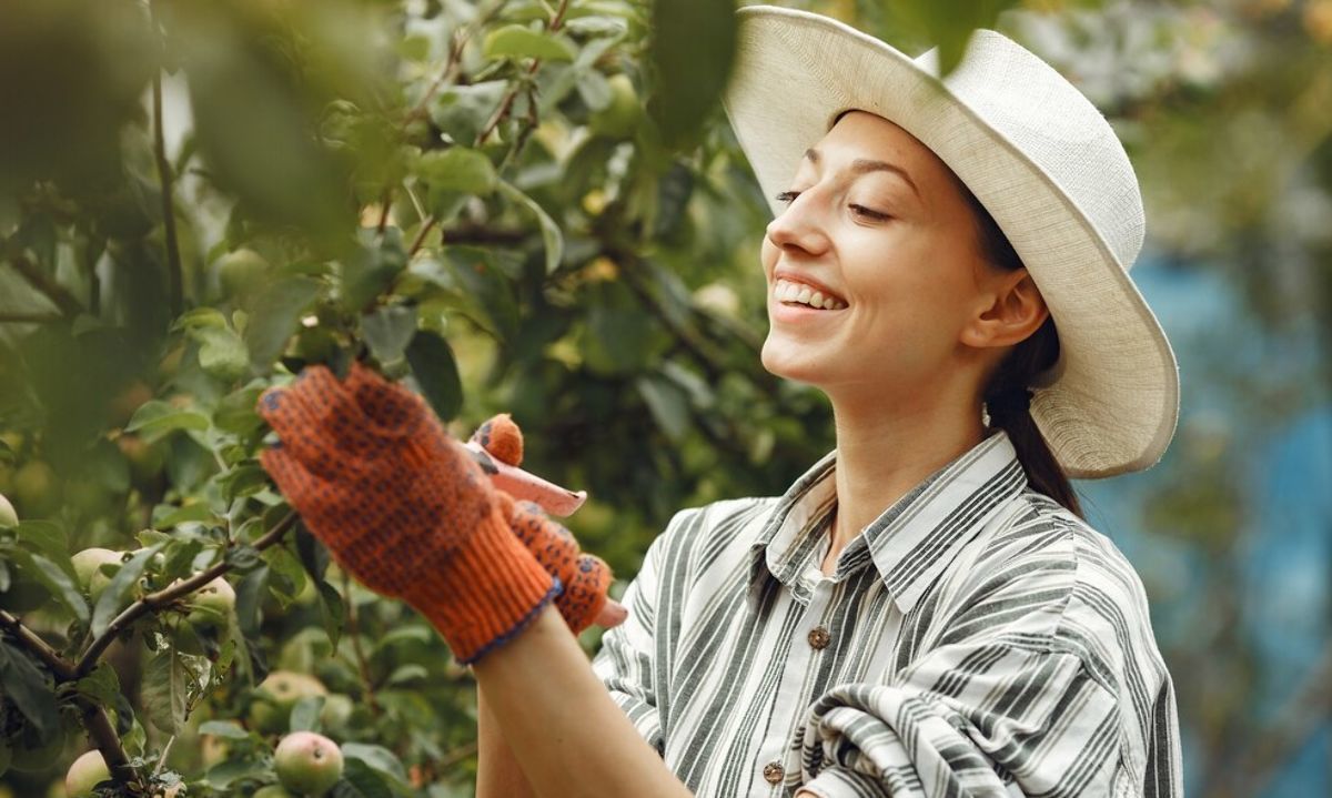 Columna: Ser mujer en el agro, desafíos y oportunidades de hoy