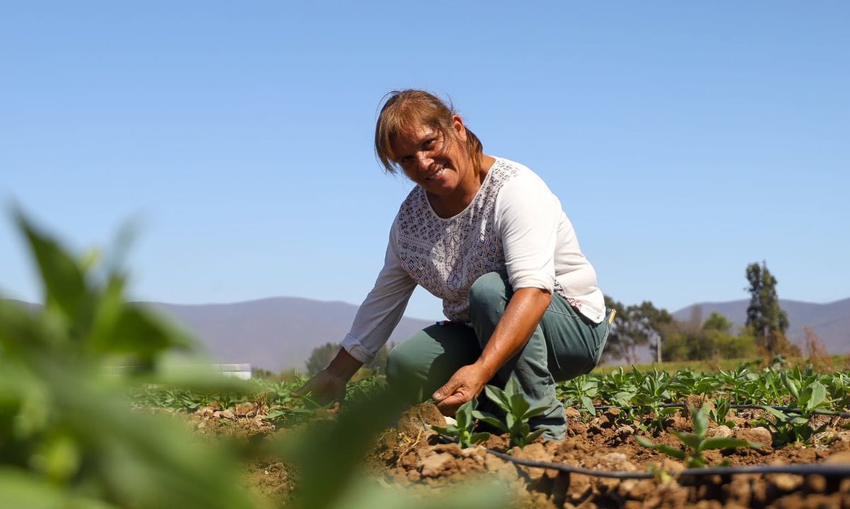 FAO moviliza US$ 8,15 millones para empoderar a las mujeres rurales en A.Latina y el Caribe