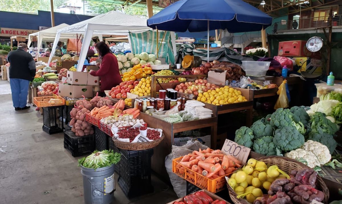 Conoce las mejores frutas y verduras de la temporada en la región de Los Lagos