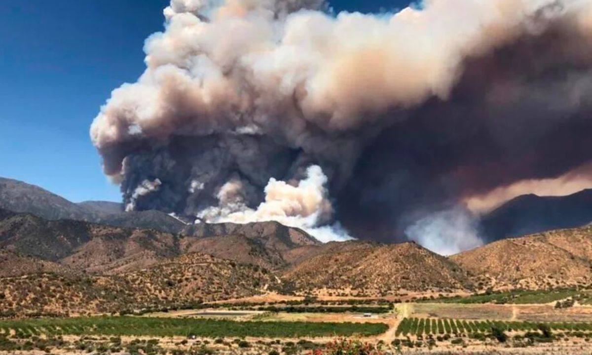 Posibles efectos en la actividad hortícola producto de incendios