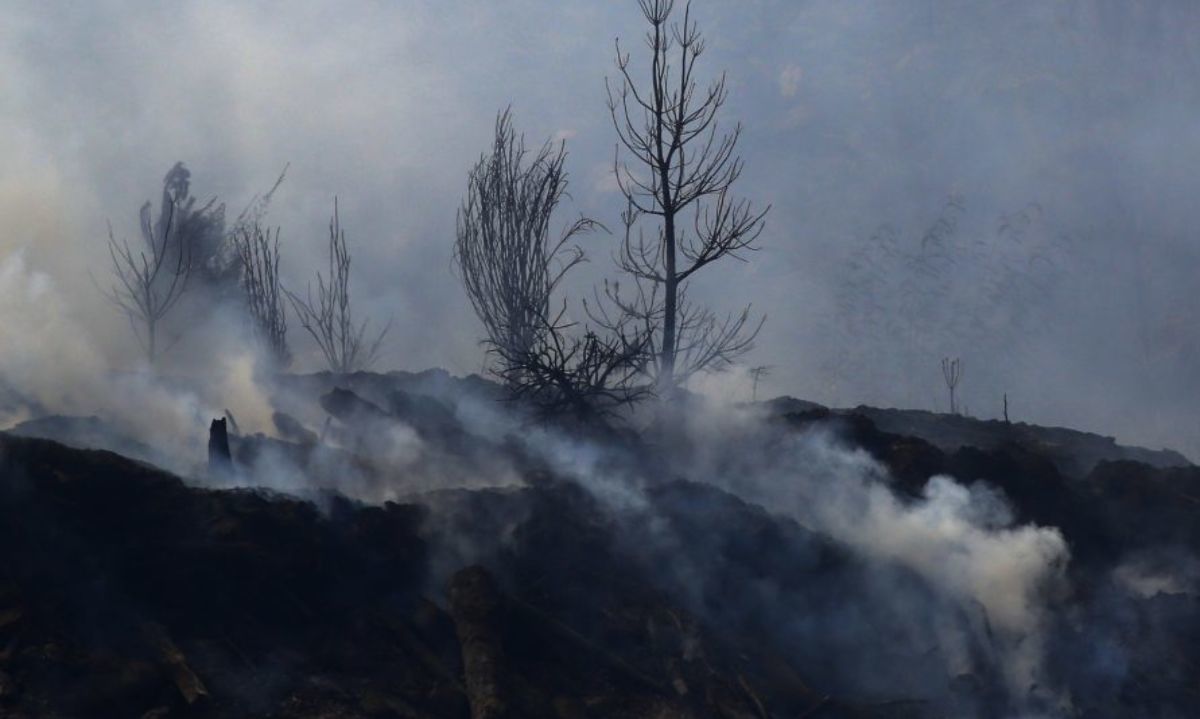 Sobre $5 mil millones destinó CONAF en combate de incendios en Los Lagos