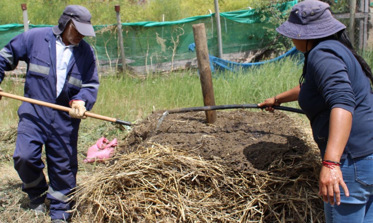 ¿La vegetación circundante a mi captación le quita el agua?