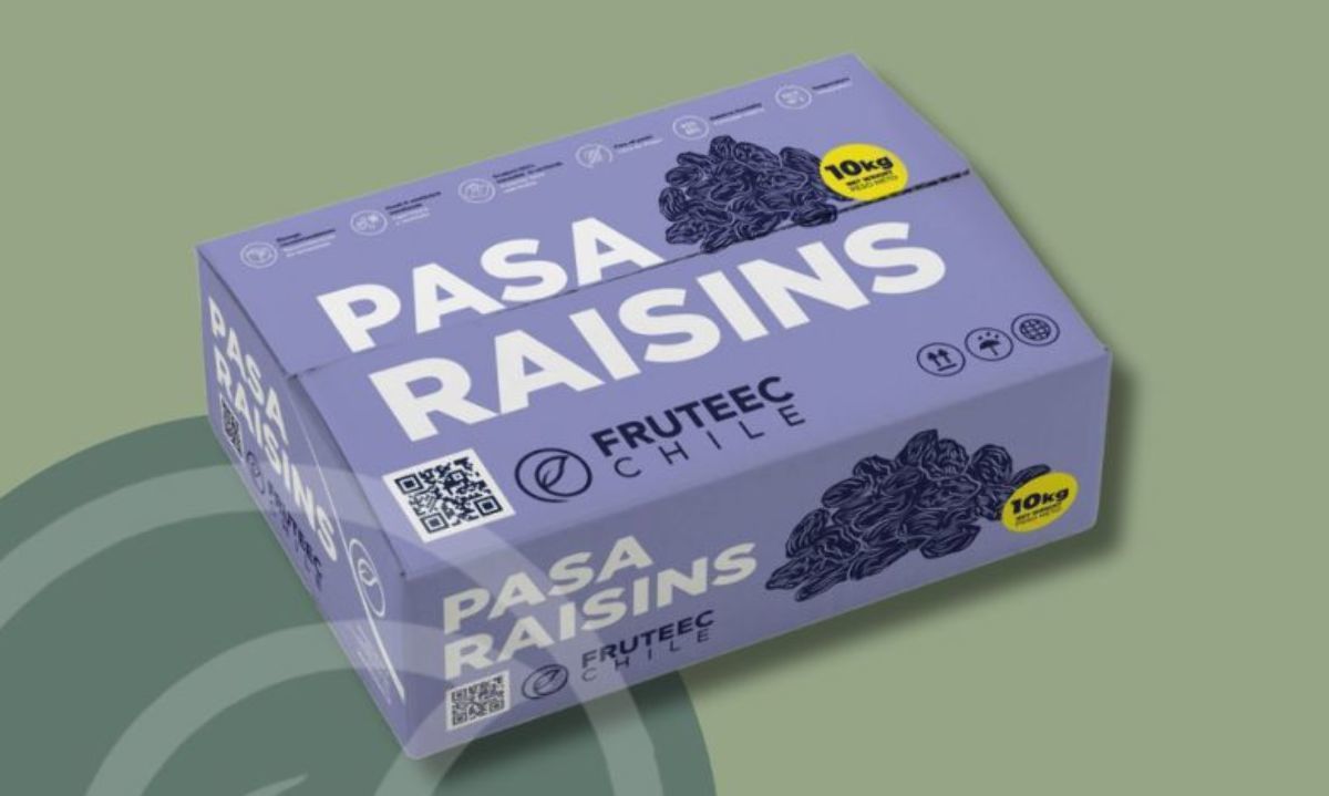 Cajas para pasas de Fruteec Chile