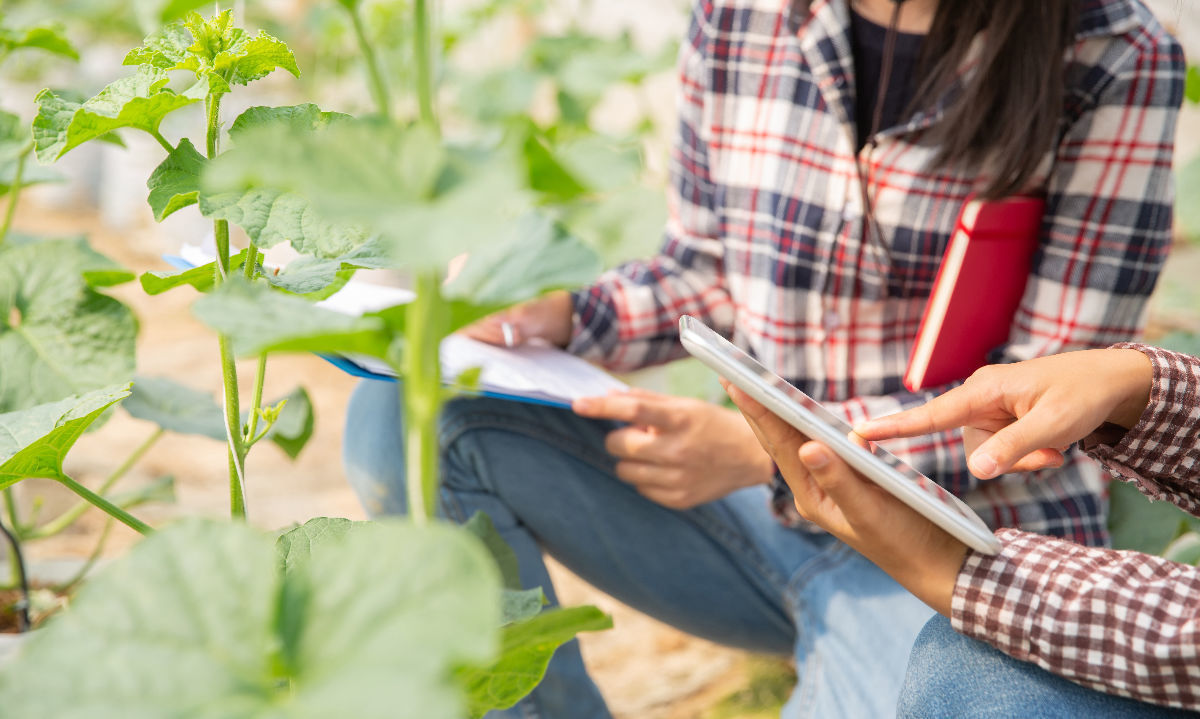 ¡Hay trabajo para ti... en el agro!