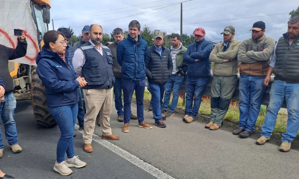 Región de Los Lagos: Trigueros bajan movilización pero no pararán en sus demandas