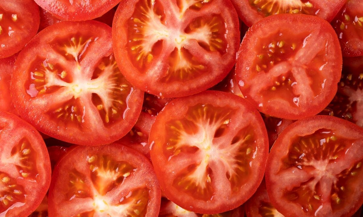 Perú podrá importar semillas de tomate de Chile