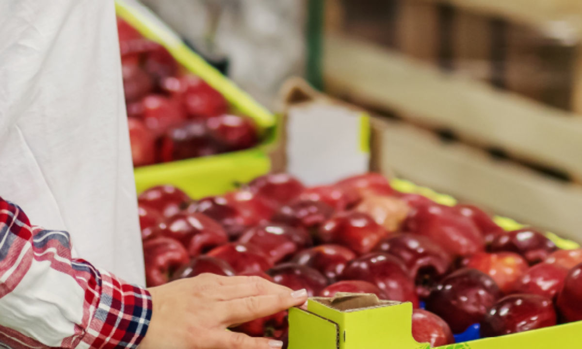 Los precios de los fruticultores chilenos podrían ser un dolor de cabeza para los argentinos