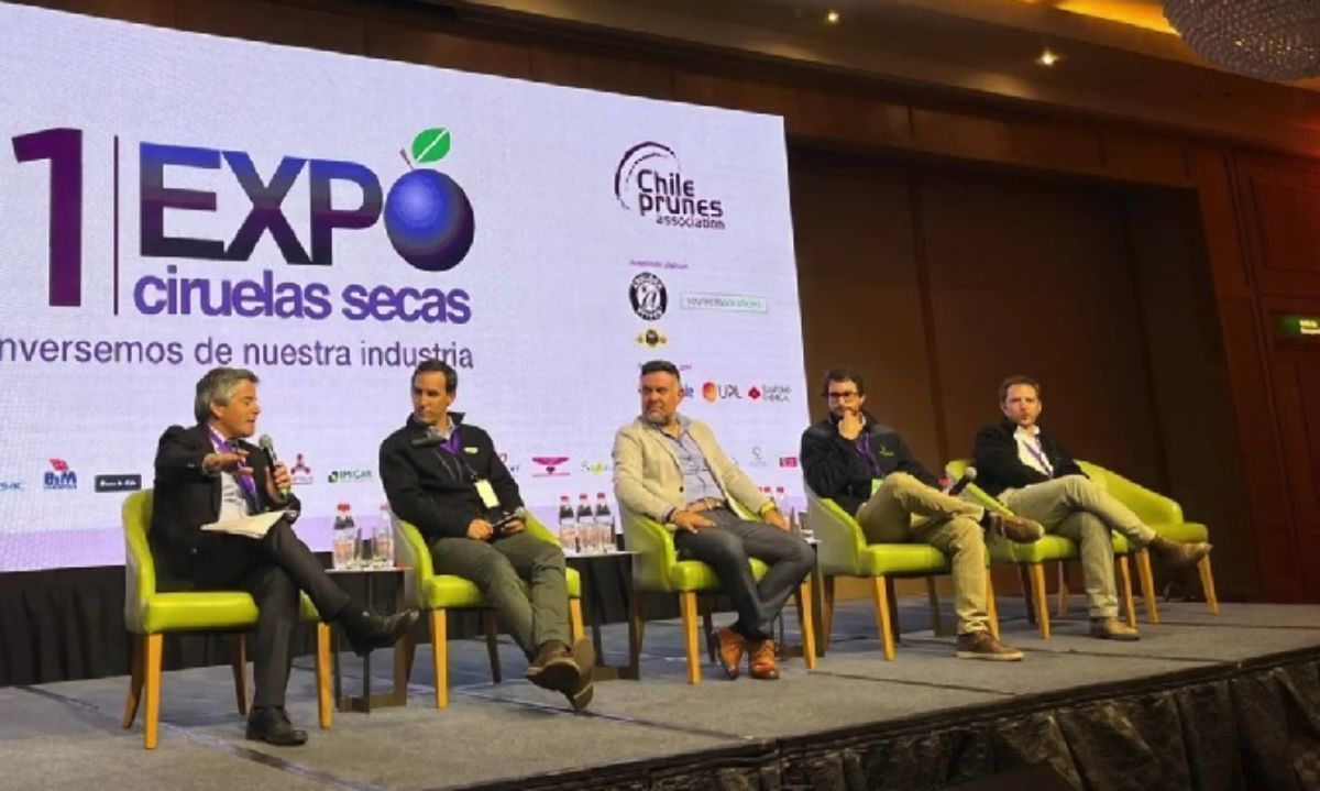 Expo Ciruelas Secas: El llamado es a cuidar mercados "clásicos"