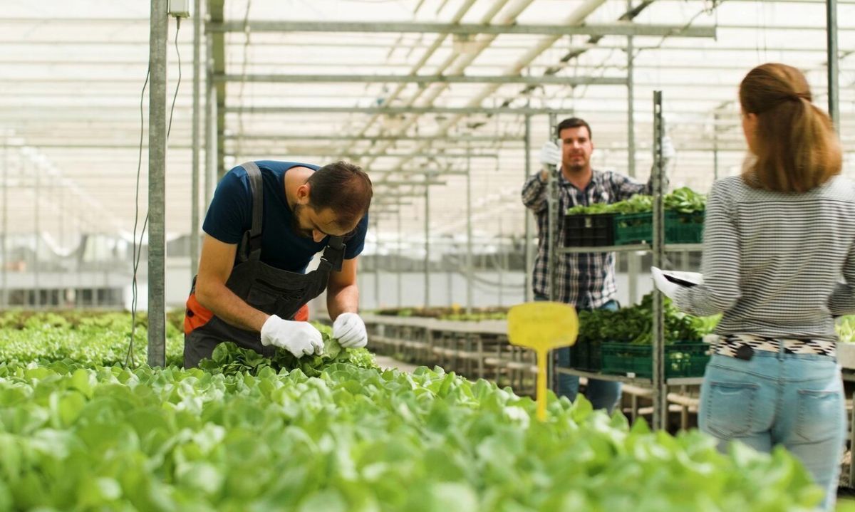 No encuentras trabajo en el agro, revisa acá!!!