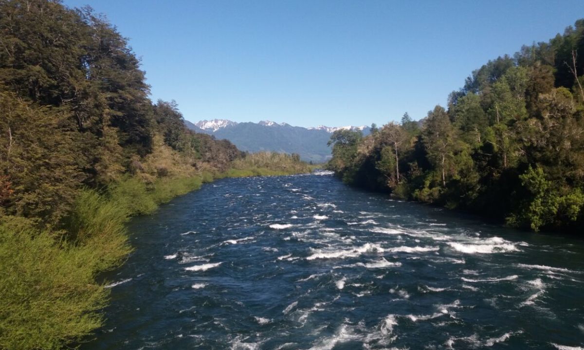 Columna: En el Día del Agua honramos su existencia y la vida