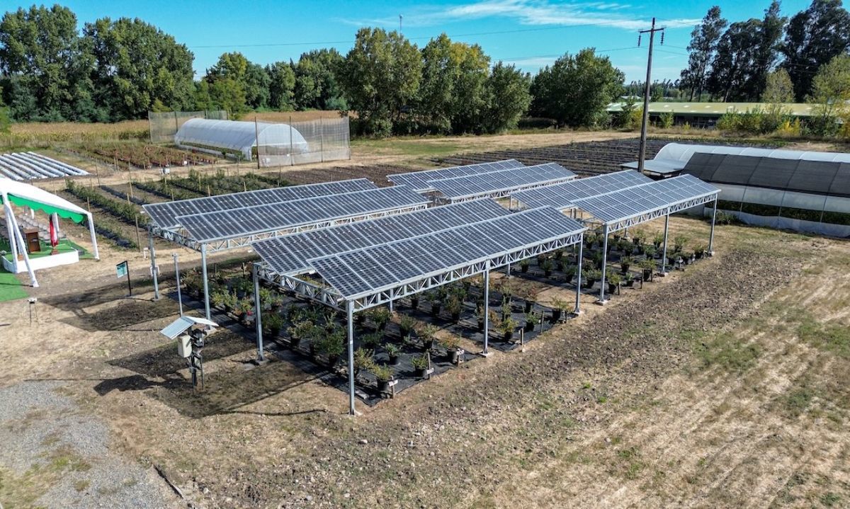 Inauguran la primera granja solar chilena 