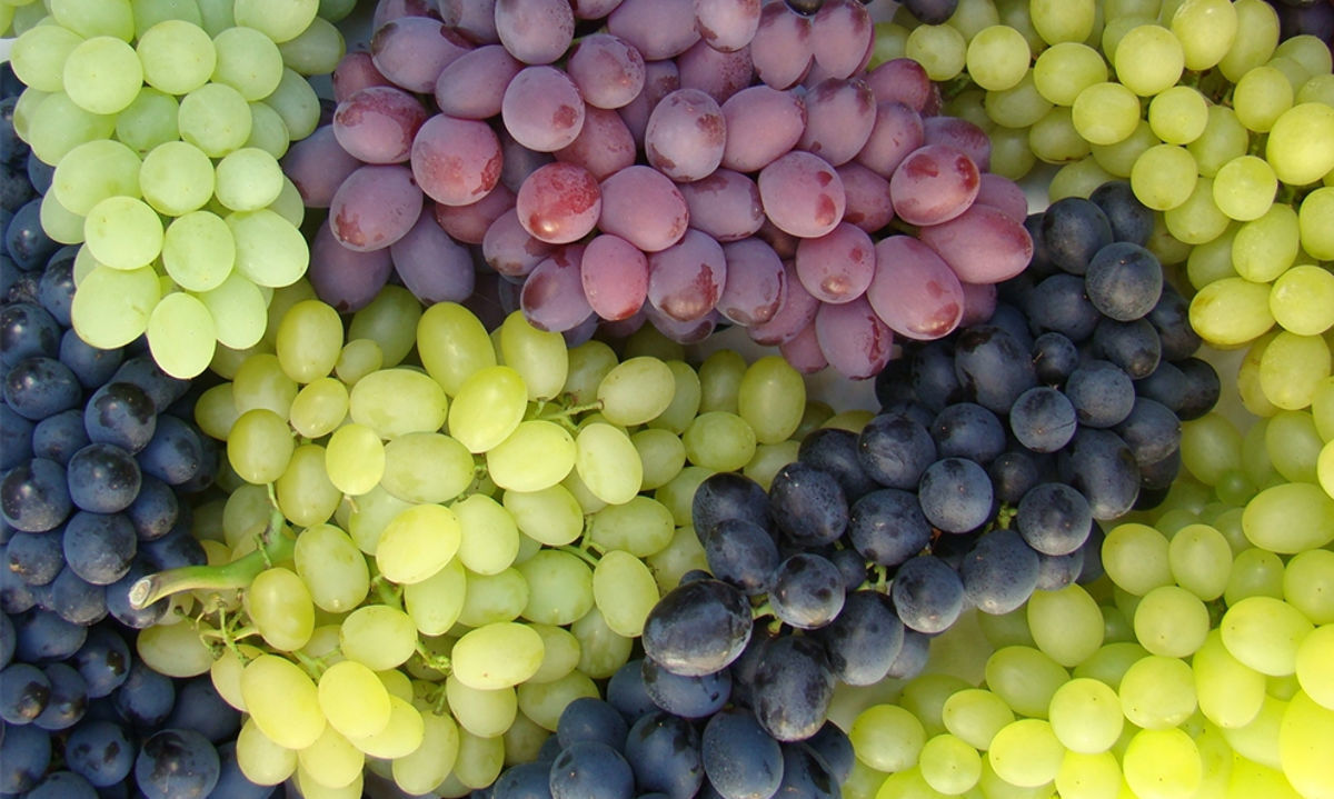 Aproximadamente se exportarán 62 millones de cajas de uva chilena 