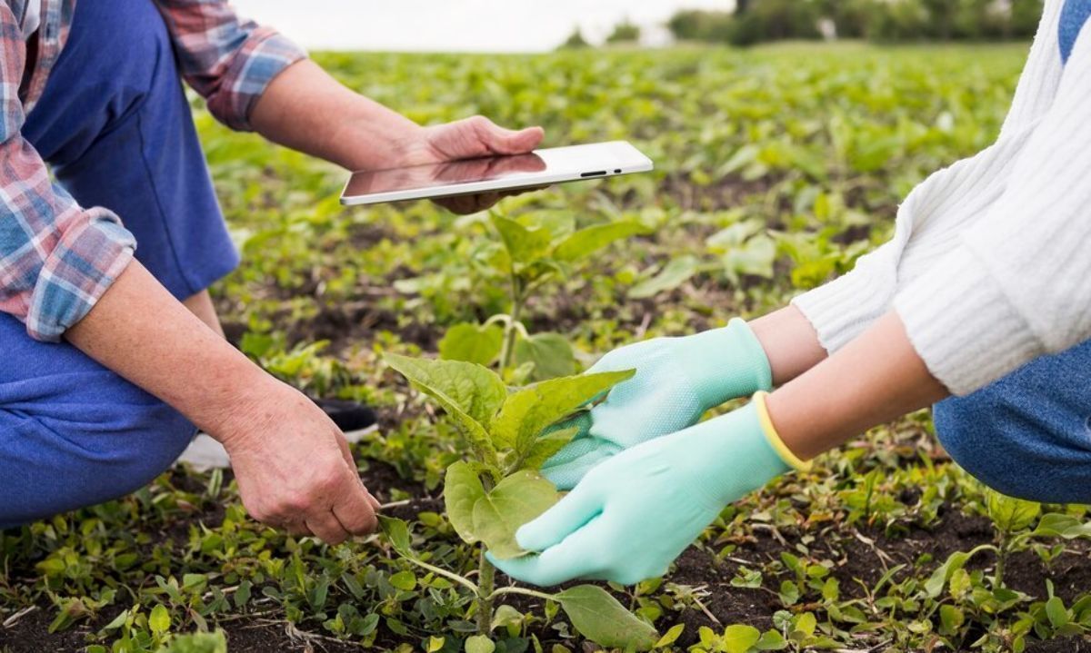 Nuevos avisos de empleo para el agro