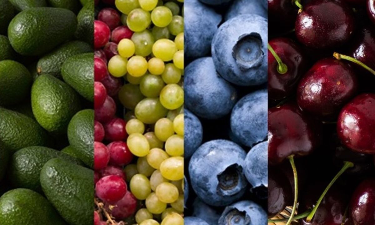 Chile es el quinto dentro de los exportadores mundiales de frutas