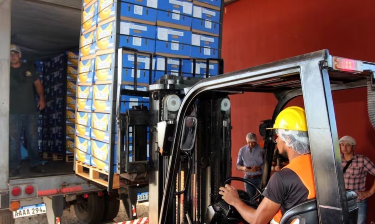 Paraguay ya concretó primer envío de banana local a Chile