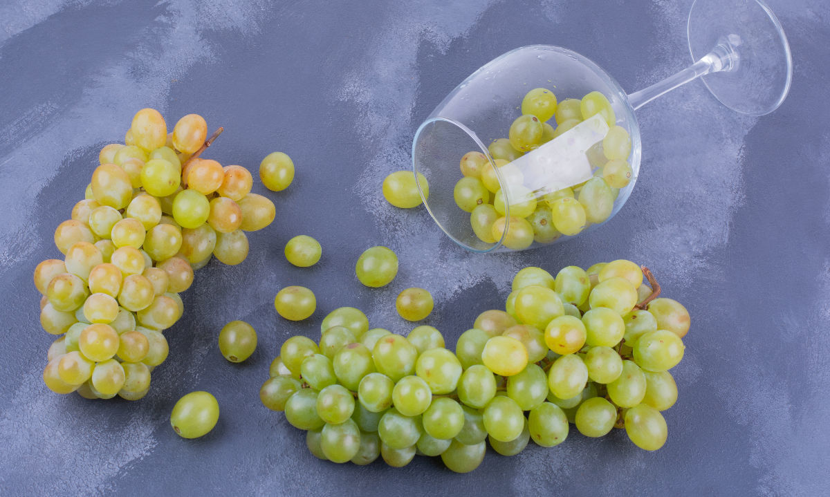 Industria vitivinícola: Proponen usar restos de uva como disolvente renovable