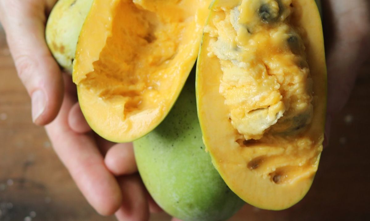 ¿Sabes qué es y qué tipo de fruta es el paw paw?
