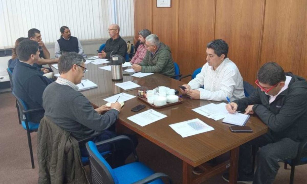 Temuco constituye mesa regional de seguros silvoagropecuarios