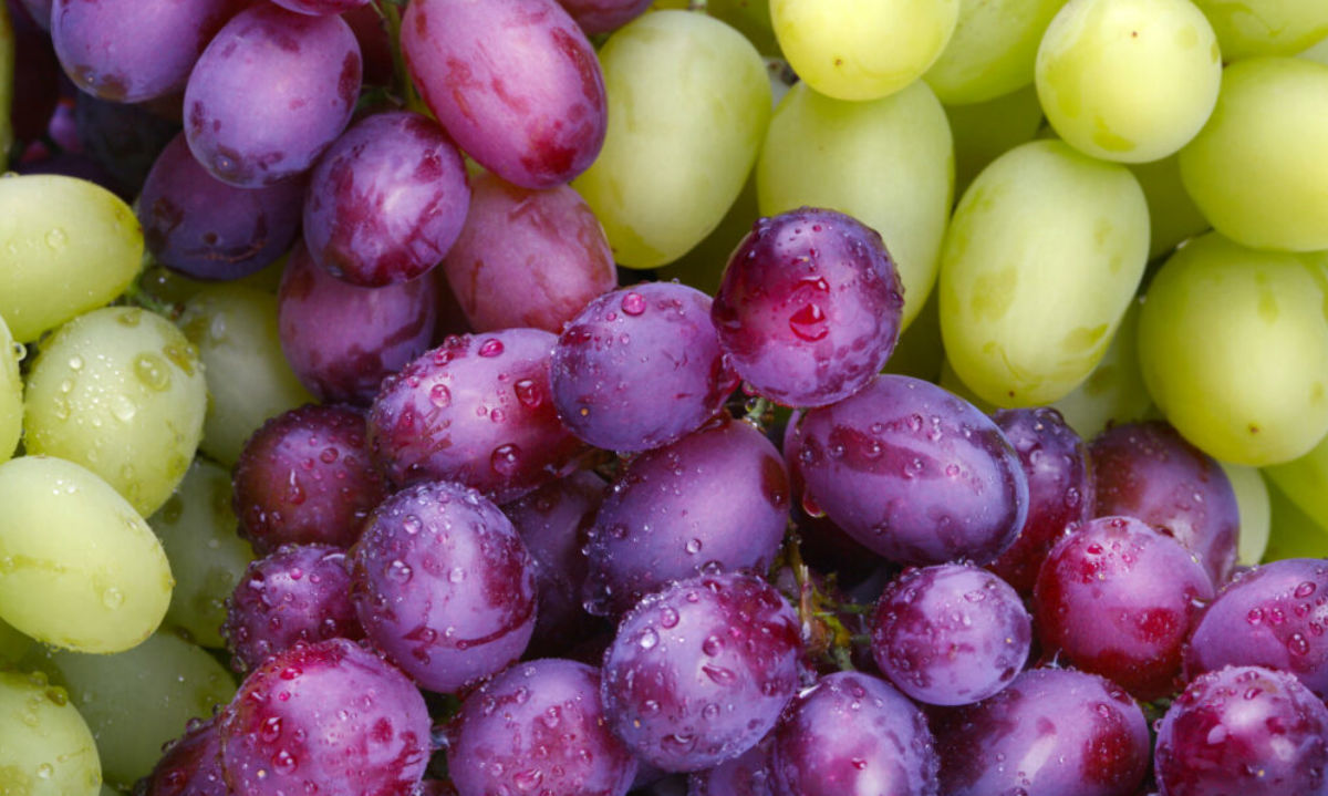 Plan México:  Validación del Systems Approach para envíos de uva de mesa 