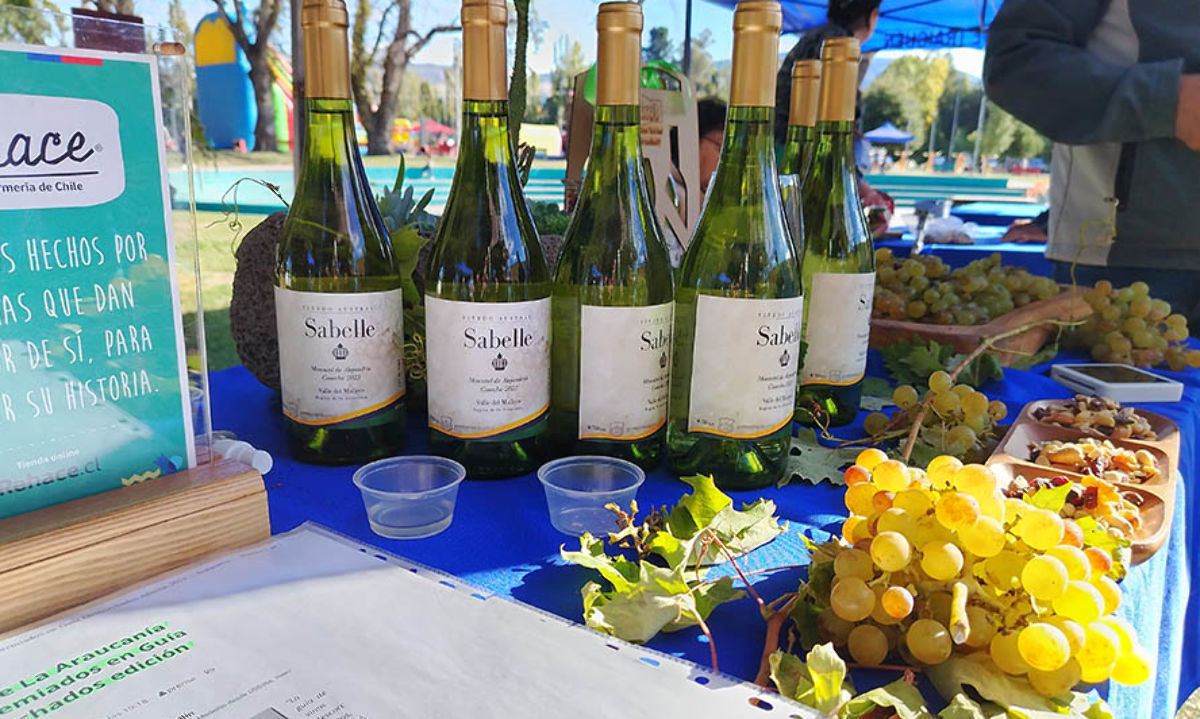 1° Muestra de Vinos y Sabores en Angol congregó a viñas de la región La Araucanía