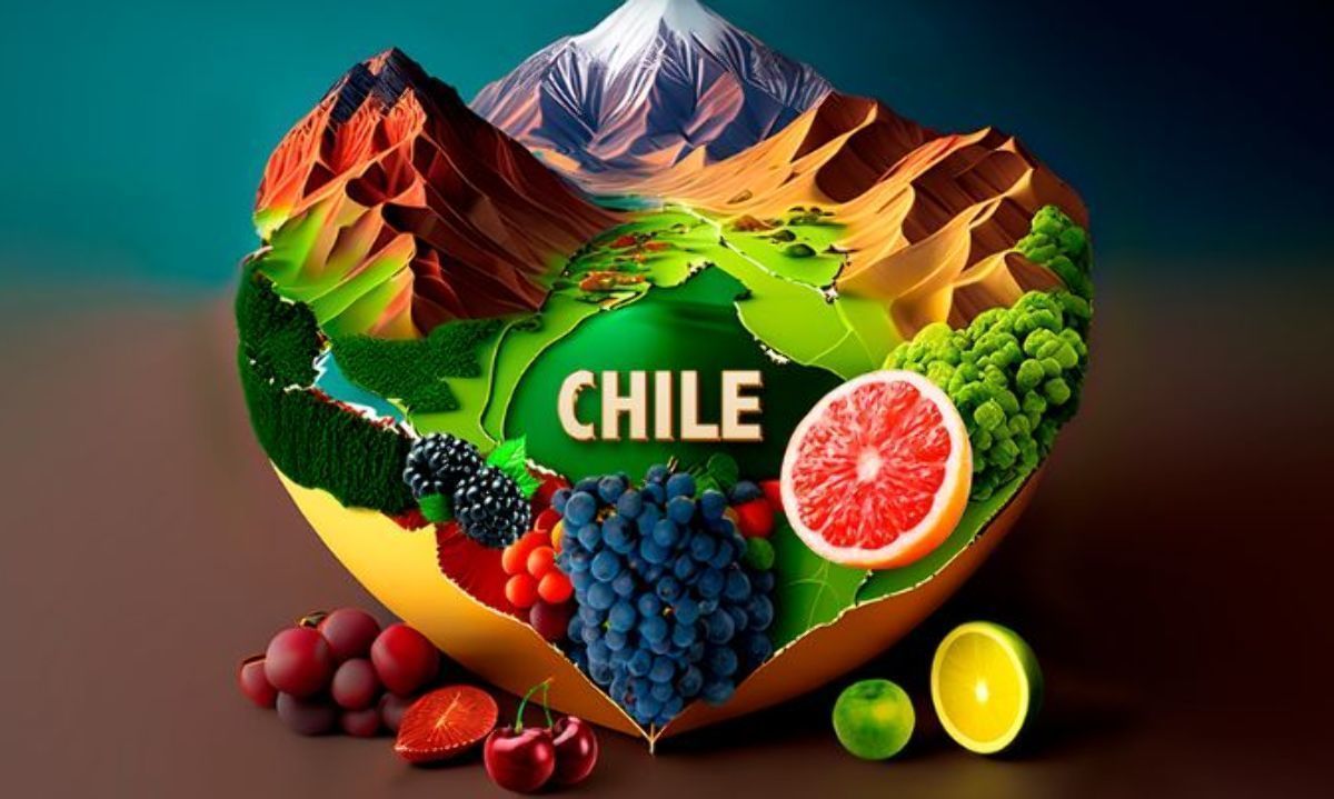Cómo van las exportaciones chilenas de bienes frutícolas 