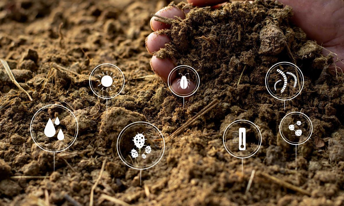 Expertos mundiales: Sin un buen suelo no hay agricultura sostenible y resiliente