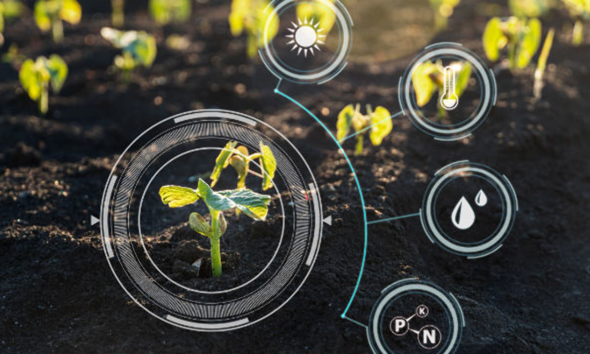 Columna: La nanotecnología emerge para revolucionar el sector agropecuario