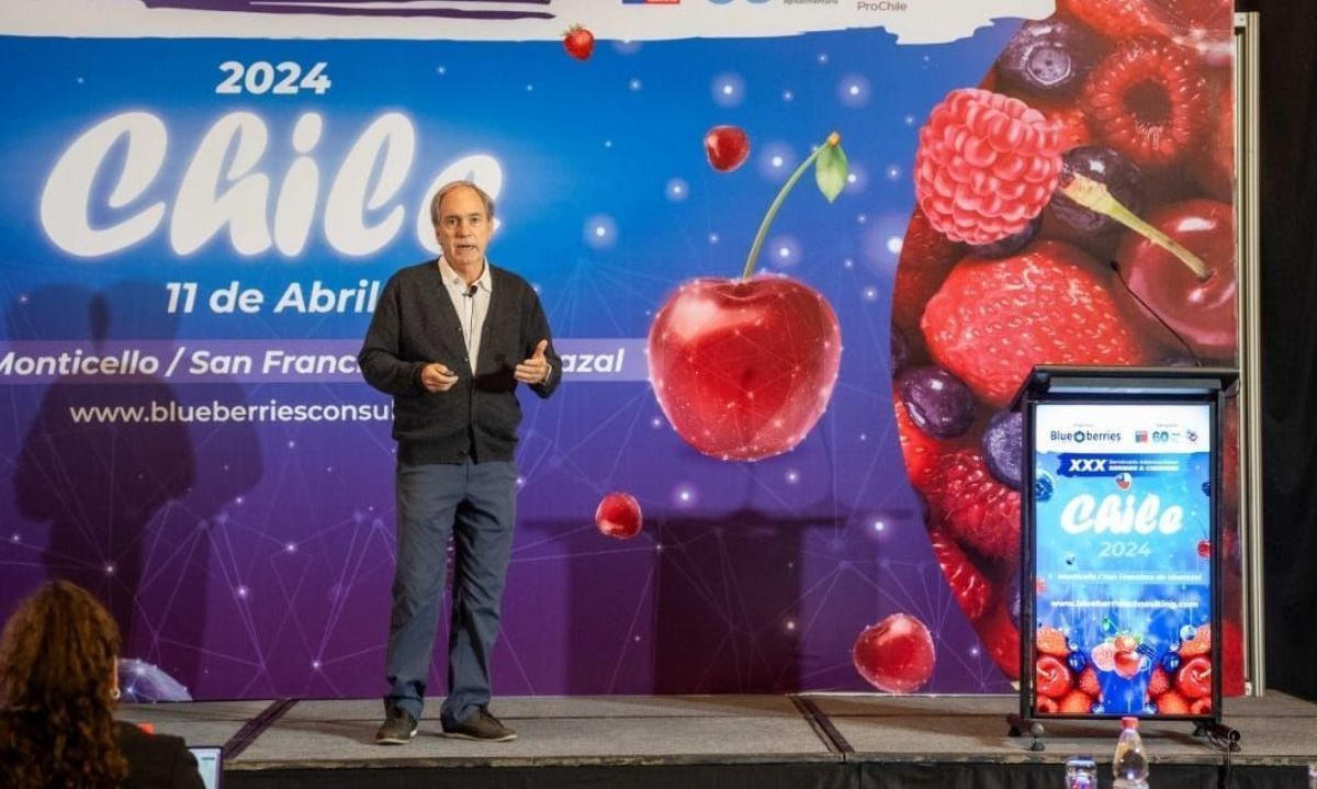 Manuel Alcaino: En la próxima temporada se crecería en 20 MM de cajas de cerezas