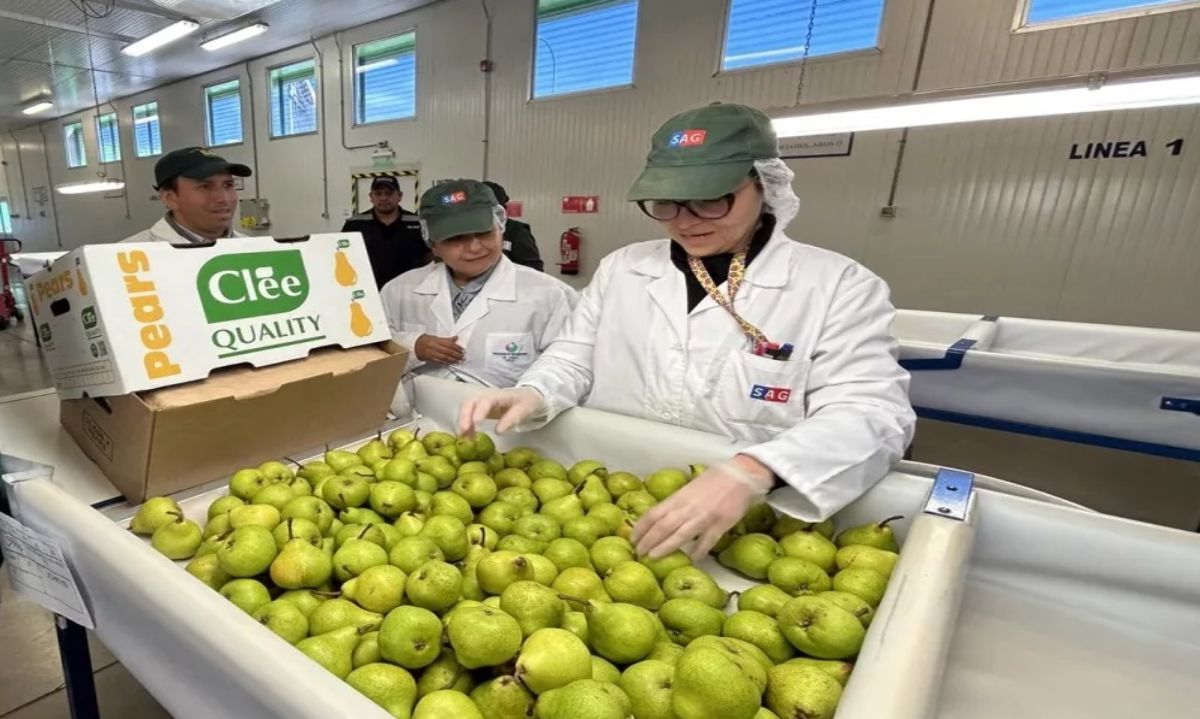 Autoridades revisaron funcionamiento del sitio de inspección SAG/USDA Teno 