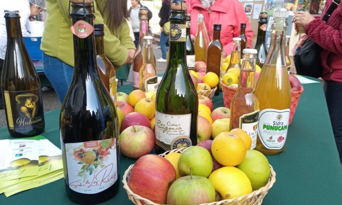 En Fiesta de la Manzana y la Sidra presentan planta de procesamiento móvil de esta fruta