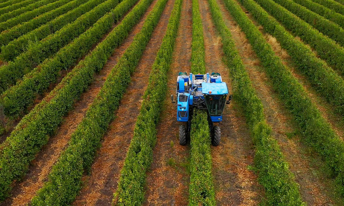 Convocatoria para postular a la Misión Comercial para proveedores agro 